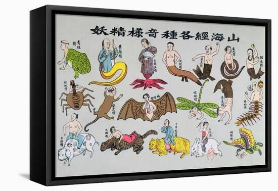 Various Reincarnations of the Soul in Animal Forms-Chinese School-Framed Premier Image Canvas