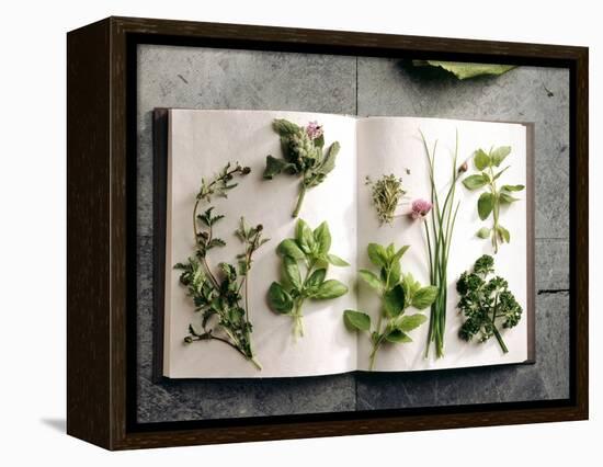 Various Salad Herbs on an Open Book-Walter Cimbal-Framed Premier Image Canvas