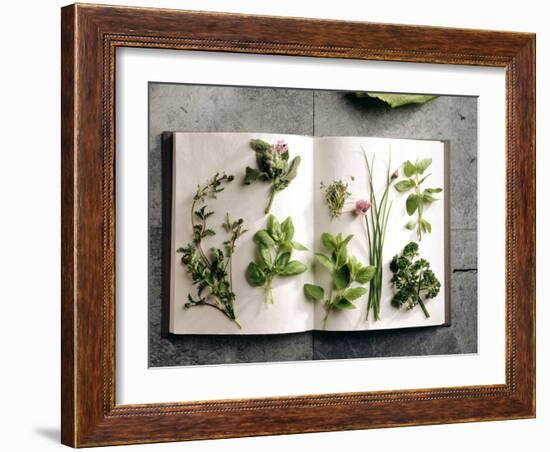 Various Salad Herbs on an Open Book-Walter Cimbal-Framed Photographic Print