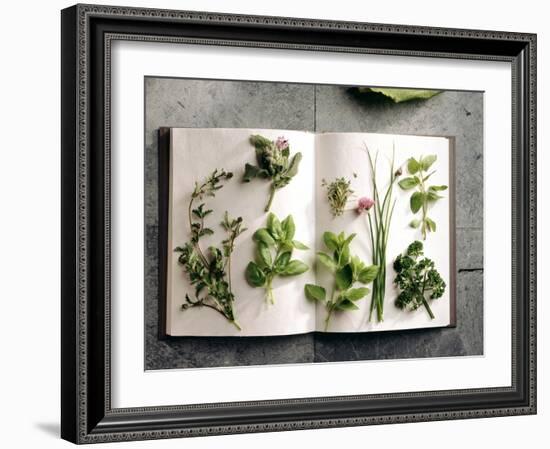 Various Salad Herbs on an Open Book-Walter Cimbal-Framed Photographic Print