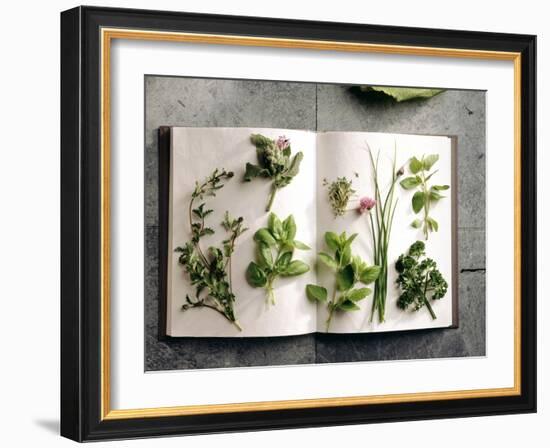 Various Salad Herbs on an Open Book-Walter Cimbal-Framed Photographic Print