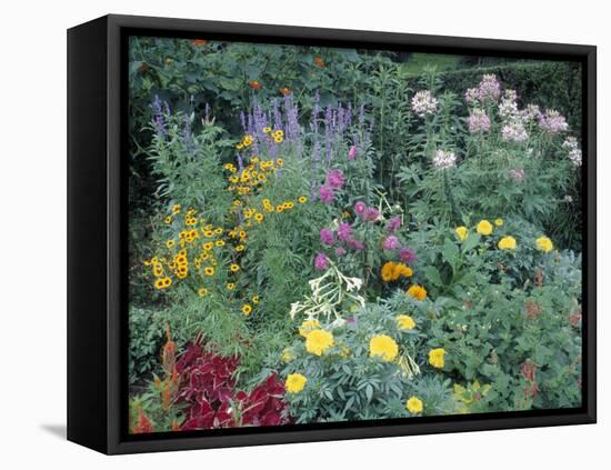 Various Species of Flowers in Garden-Mark Gibson-Framed Premier Image Canvas