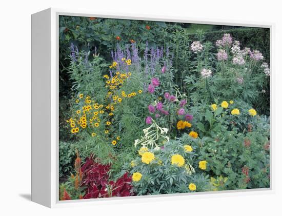 Various Species of Flowers in Garden-Mark Gibson-Framed Premier Image Canvas