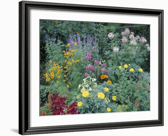 Various Species of Flowers in Garden-Mark Gibson-Framed Photographic Print