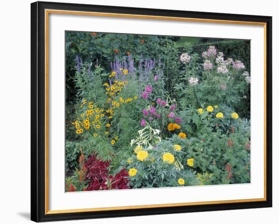 Various Species of Flowers in Garden-Mark Gibson-Framed Photographic Print