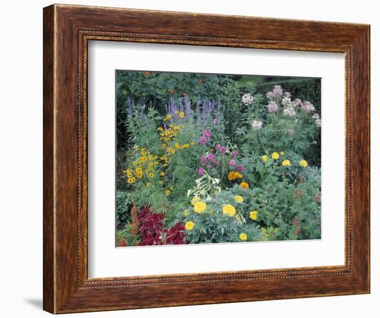 Various Species of Flowers in Garden-Mark Gibson-Framed Photographic Print