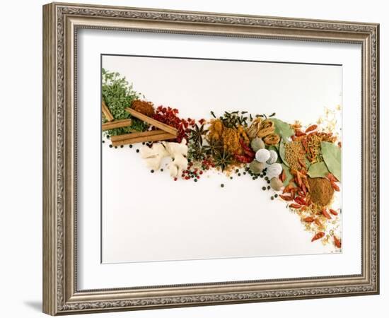 Various Spices and Dried Herbs-Joris Luyten-Framed Photographic Print