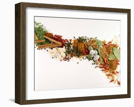 Various Spices and Dried Herbs-Joris Luyten-Framed Photographic Print