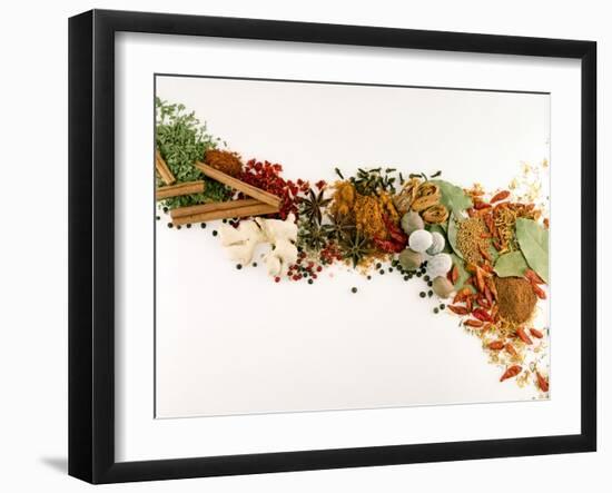 Various Spices and Dried Herbs-Joris Luyten-Framed Photographic Print