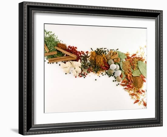 Various Spices and Dried Herbs-Joris Luyten-Framed Photographic Print