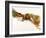 Various Spices and Dried Herbs-Joris Luyten-Framed Photographic Print