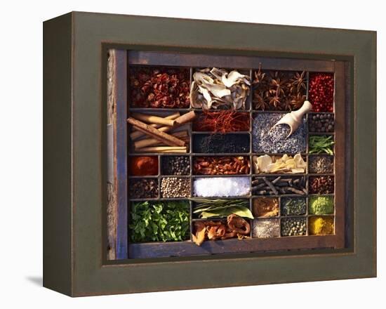 Various Spices in a Type Case-Oliver Brachat-Framed Premier Image Canvas