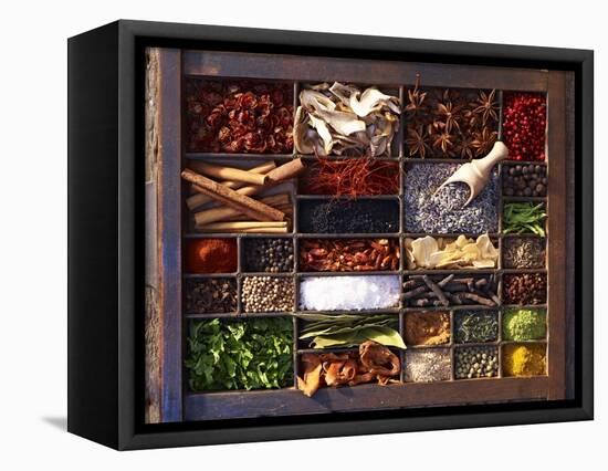 Various Spices in a Type Case-Oliver Brachat-Framed Premier Image Canvas