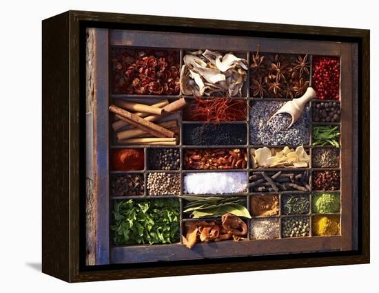 Various Spices in a Type Case-Oliver Brachat-Framed Premier Image Canvas