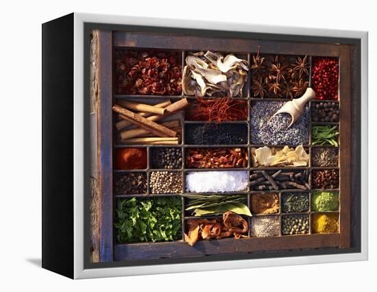 Various Spices in a Type Case-Oliver Brachat-Framed Premier Image Canvas