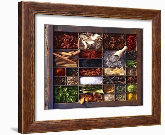 Various Spices in a Type Case-Oliver Brachat-Framed Photographic Print