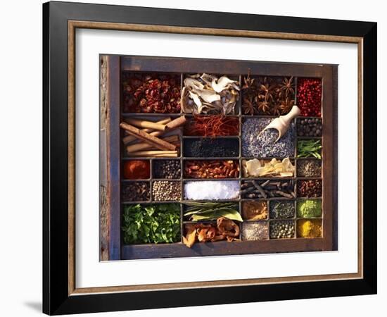 Various Spices in a Type Case-Oliver Brachat-Framed Photographic Print