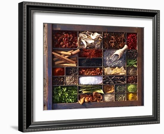 Various Spices in a Type Case-Oliver Brachat-Framed Photographic Print