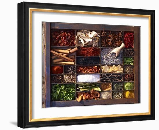 Various Spices in a Type Case-Oliver Brachat-Framed Photographic Print