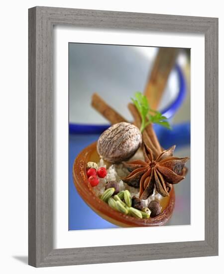 Various Spices on a Mixing Spoon-Jean-Paul Chassenet-Framed Photographic Print