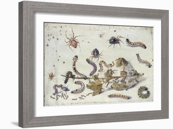 Various Spiders and Caterpillars, with a Sprig of Gooseberry, Early 1650S-Jan van Kessel-Framed Giclee Print