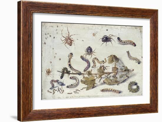 Various Spiders and Caterpillars, with a Sprig of Gooseberry, Early 1650S-Jan van Kessel-Framed Giclee Print