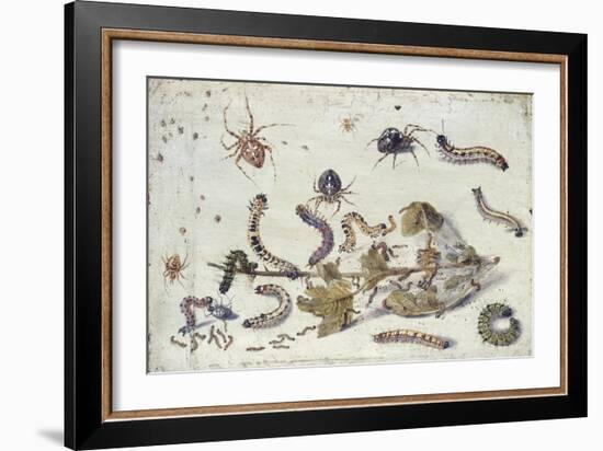 Various Spiders and Caterpillars, with a Sprig of Gooseberry, Early 1650S-Jan van Kessel-Framed Giclee Print