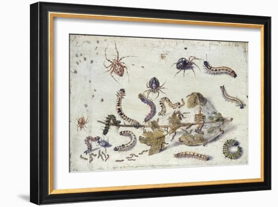 Various Spiders and Caterpillars, with a Sprig of Gooseberry, Early 1650S-Jan van Kessel-Framed Giclee Print