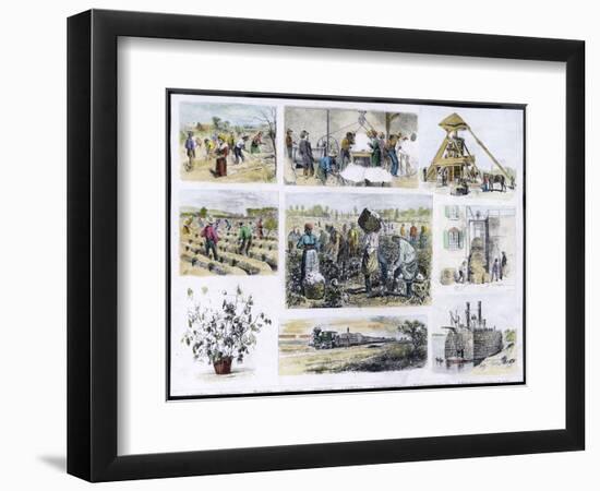 Various Stages of Cotton Processing-null-Framed Art Print