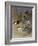 Various Terns, 1915-Archibald Thorburn-Framed Giclee Print