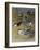 Various Terns, 1915-Archibald Thorburn-Framed Giclee Print