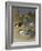 Various Terns, 1915-Archibald Thorburn-Framed Giclee Print