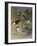 Various Terns, 1915-Archibald Thorburn-Framed Giclee Print