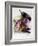 Various Types of Aubergines-Karl Newedel-Framed Photographic Print