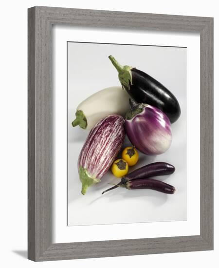 Various Types of Aubergines-Karl Newedel-Framed Photographic Print