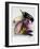 Various Types of Aubergines-Karl Newedel-Framed Photographic Print