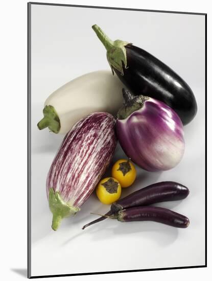 Various Types of Aubergines-Karl Newedel-Mounted Photographic Print