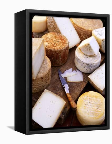 Various Types of Cheese from the Basque Region-Joerg Lehmann-Framed Premier Image Canvas