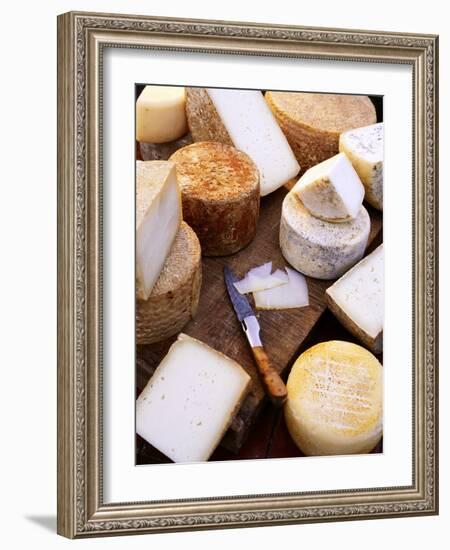 Various Types of Cheese from the Basque Region-Joerg Lehmann-Framed Photographic Print