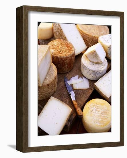 Various Types of Cheese from the Basque Region-Joerg Lehmann-Framed Photographic Print