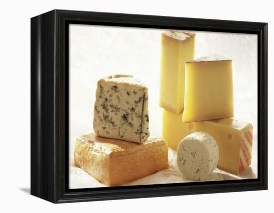 Various Types of Cheese-J.-F. Hamon-Framed Premier Image Canvas