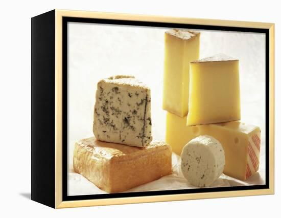 Various Types of Cheese-J.-F. Hamon-Framed Premier Image Canvas