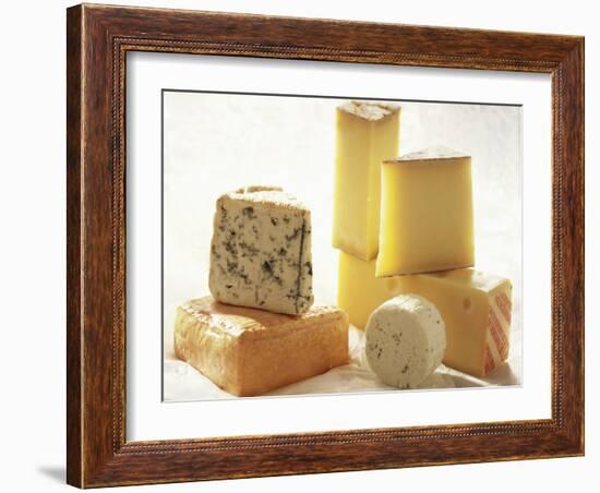 Various Types of Cheese-J.-F. Hamon-Framed Photographic Print