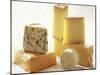 Various Types of Cheese-J.-F. Hamon-Mounted Photographic Print