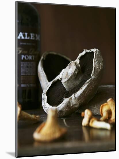 Various Types of Mushrooms in Front of Port Wine Bottle-Henrik Freek-Mounted Photographic Print