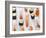 Various Types of Nigiri and Maki Sushi-Martina Schindler-Framed Photographic Print