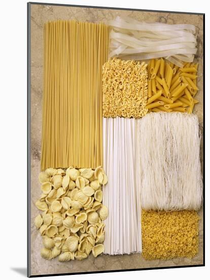 Various Types of Pasta Arranged in a Rectangle-Nikolai Buroh-Mounted Photographic Print