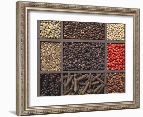 Various Types of Pepper in a Type Case-Eising Studio - Food Photo and Video-Framed Photographic Print