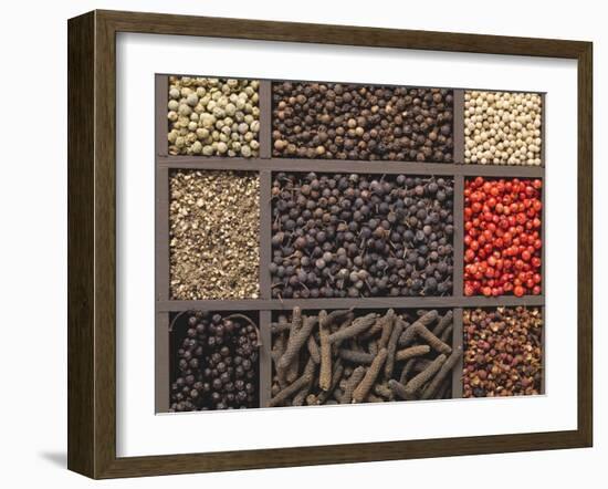 Various Types of Pepper in a Type Case-Eising Studio - Food Photo and Video-Framed Photographic Print