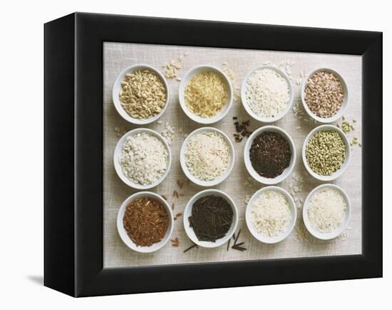 Various Types of Rice in Small Bowls-Ingvar Eriksson-Framed Premier Image Canvas